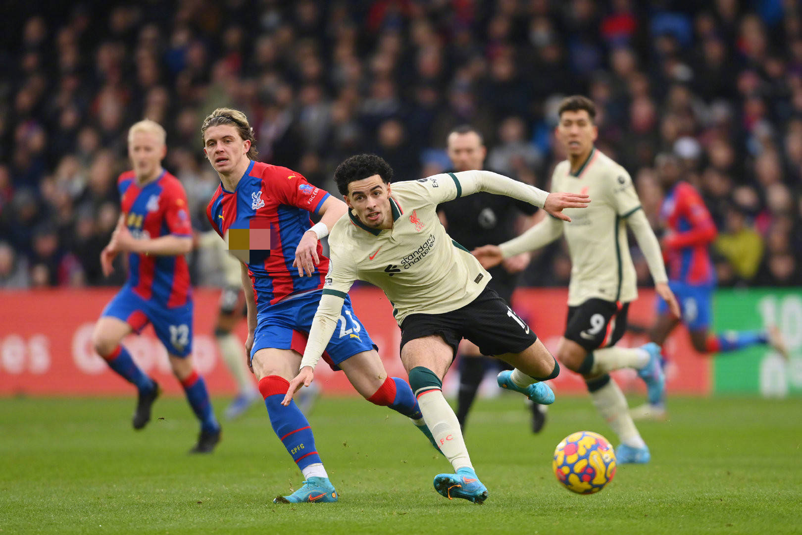 展现出了他 展现出了他